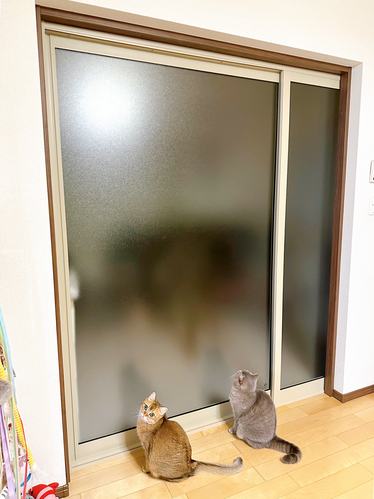 【テレワーク＆寝室とリビング間の音漏れ対策】室内防音引戸リフォーム